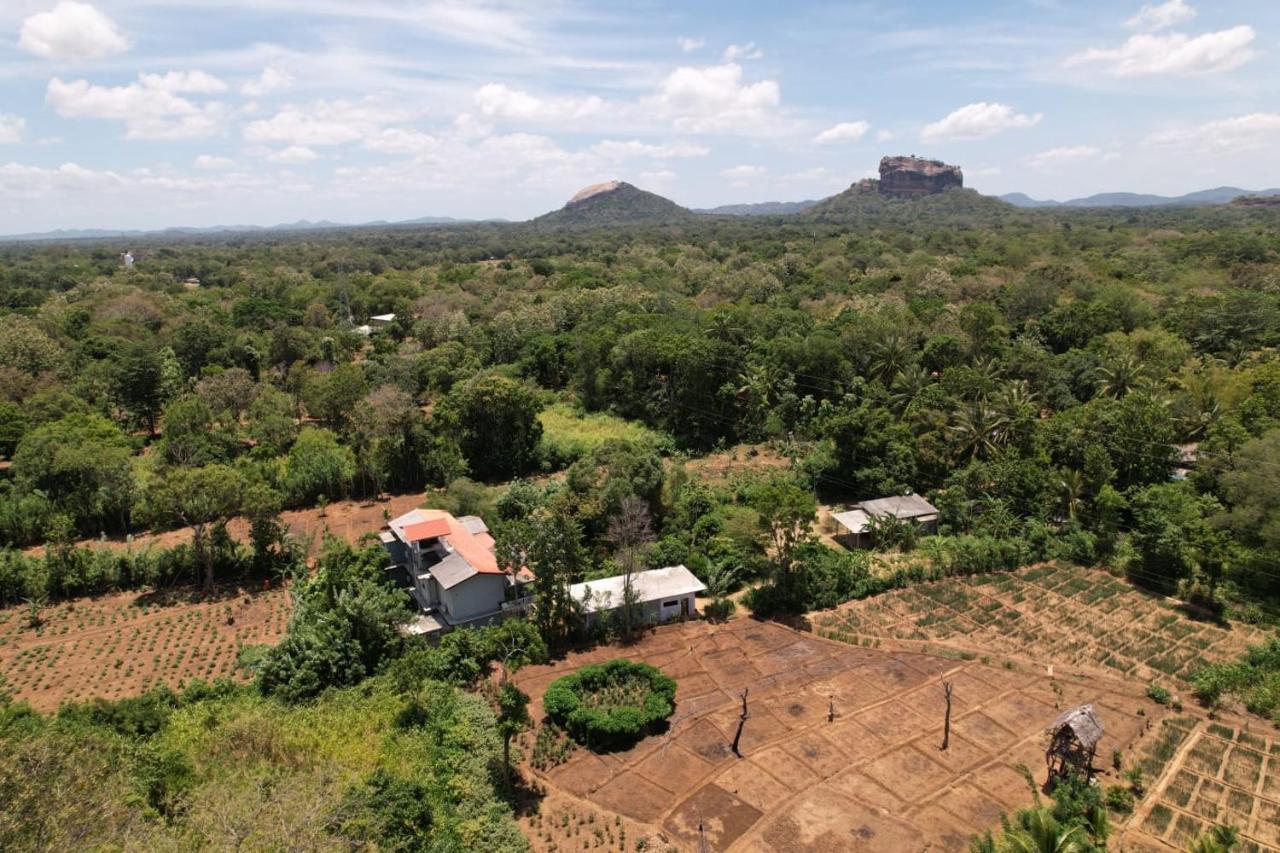 Sigiriya Sun Shine Villa Eksteriør bilde