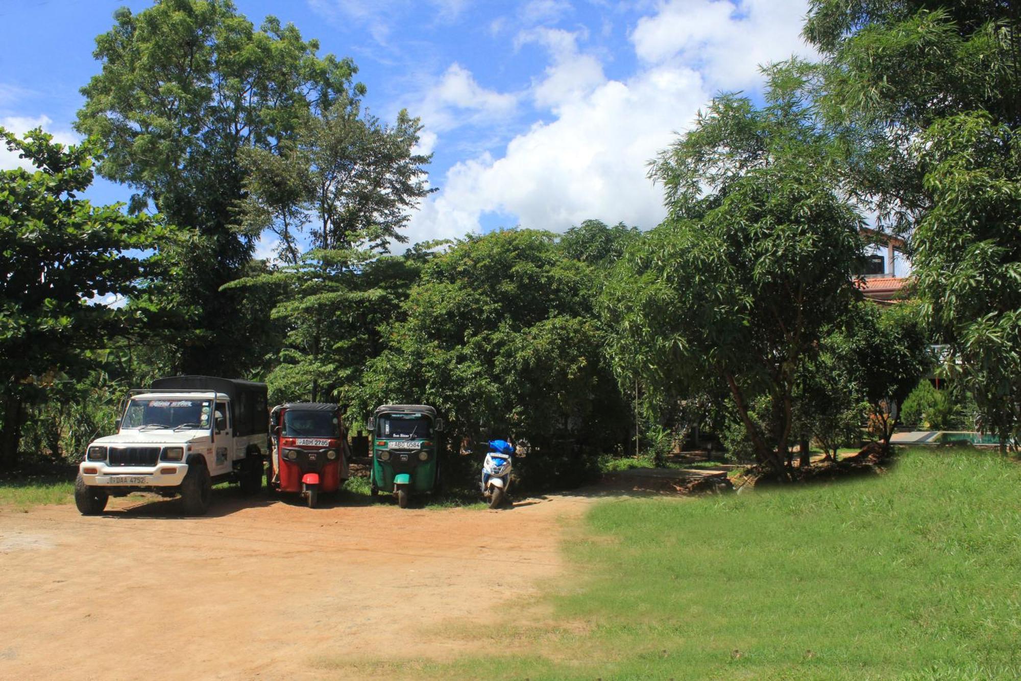 Sigiriya Sun Shine Villa Eksteriør bilde