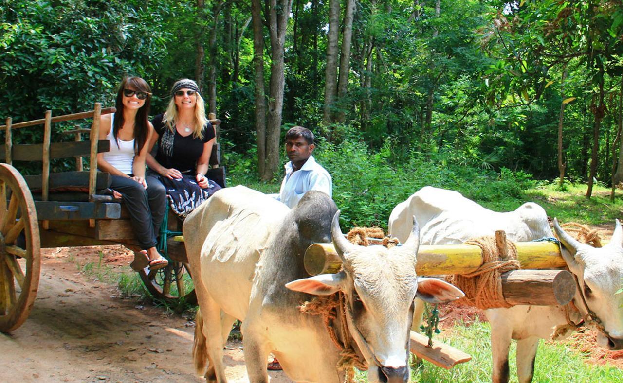 Sigiriya Sun Shine Villa Eksteriør bilde